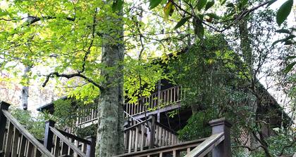 Creeksong ..... nimi sanoo kaiken.