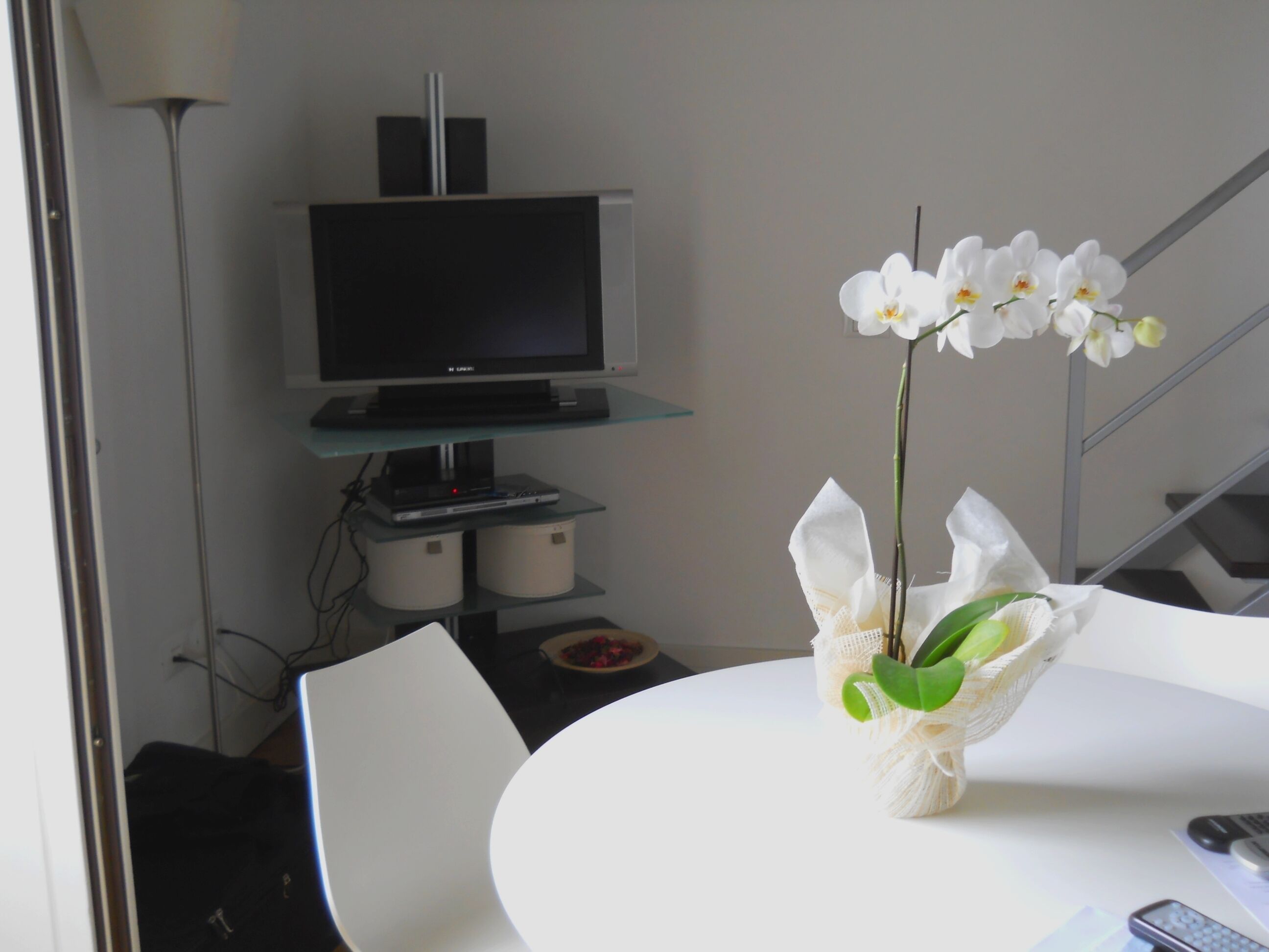 Une pièce avec une table blanche, une chaise blanche, un téléviseur posé sur une étagère en verre et un bouquet d’orchidées blanches.