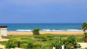 Enjoy a serene beachfront setting with a lush garden and ocean views.