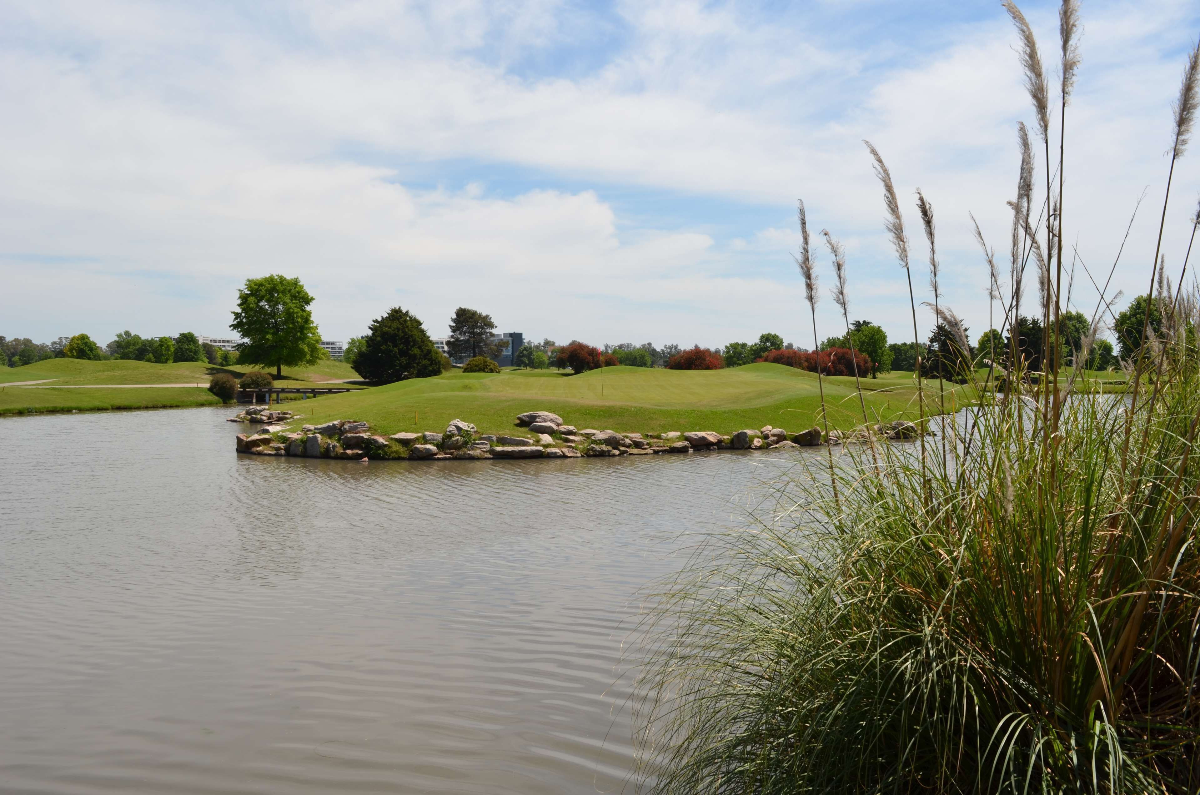 A serene lakeside view with a grassy area, trees, and a clear sky.