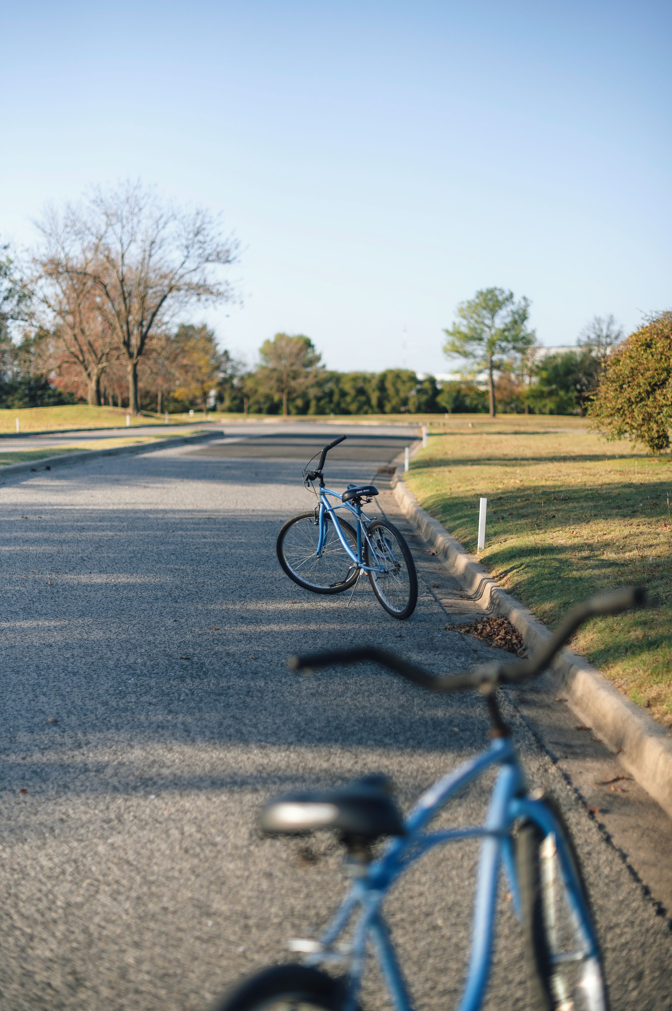 Un vélo est garé sur un chemin pavé dans un parc.