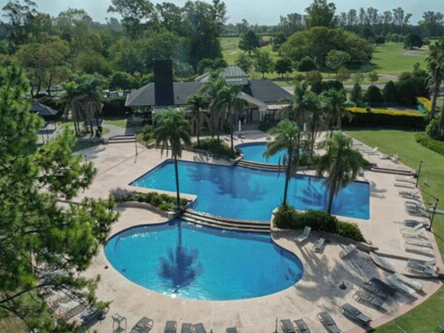 A large outdoor swimming pool with a circular section, surrounded by lounge chairs and palm trees.
