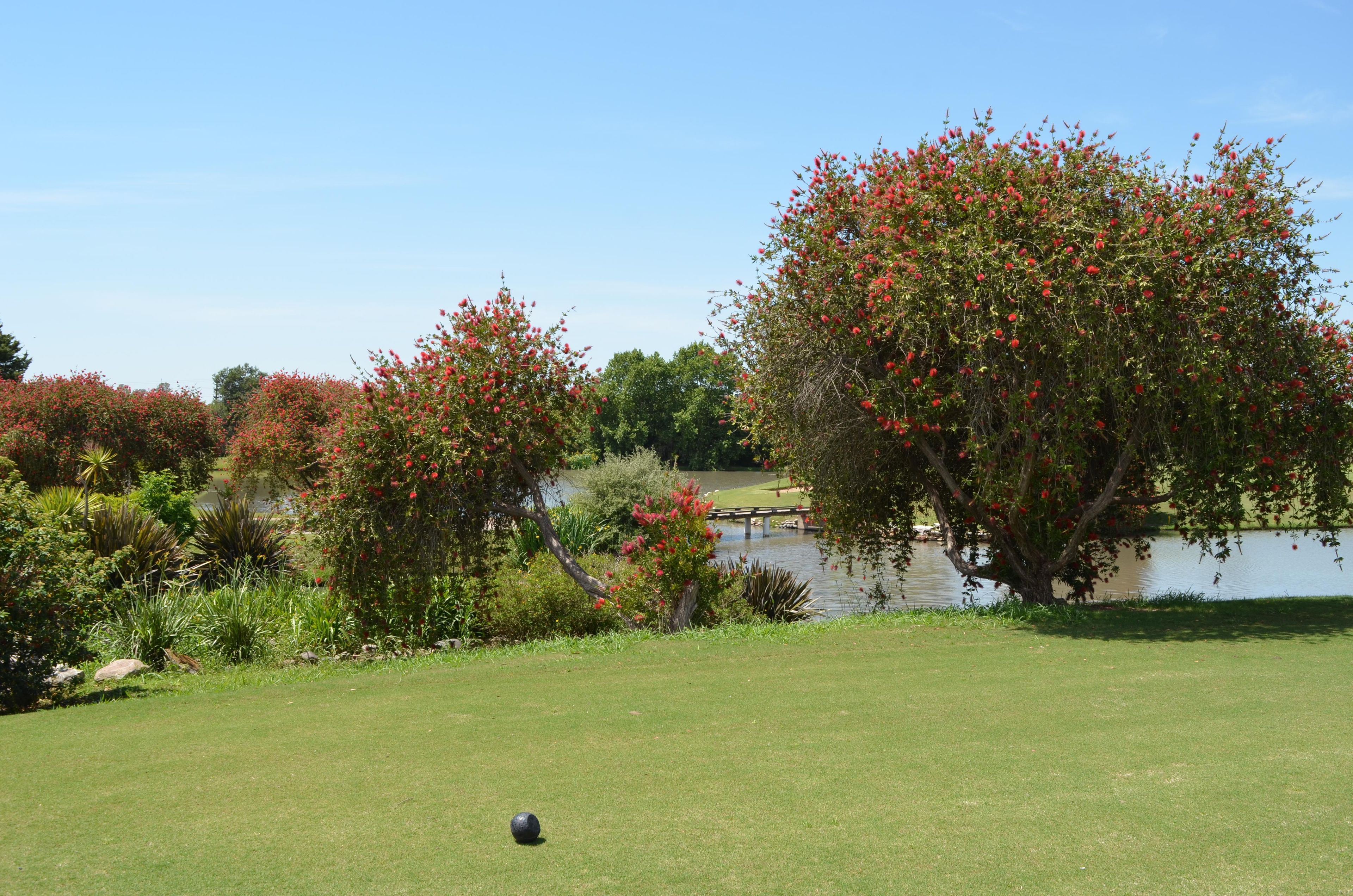 A golf course with a pond and trees.