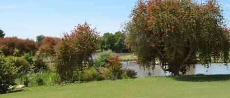 A golf course with a pond and trees.
