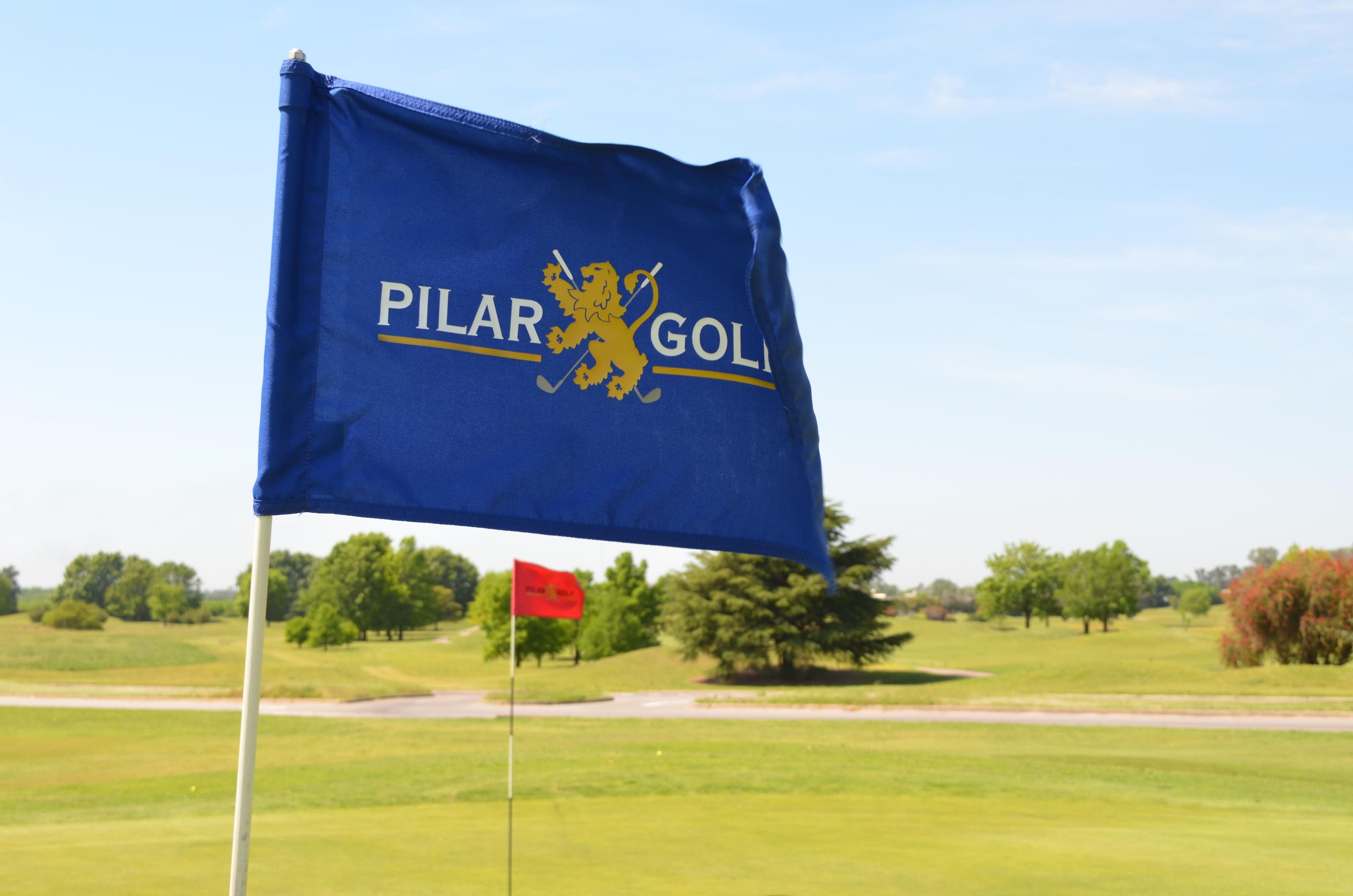 A flag with 'PILAR GOLI' and a lion emblem, mounted on a flagpole in a grassy field.