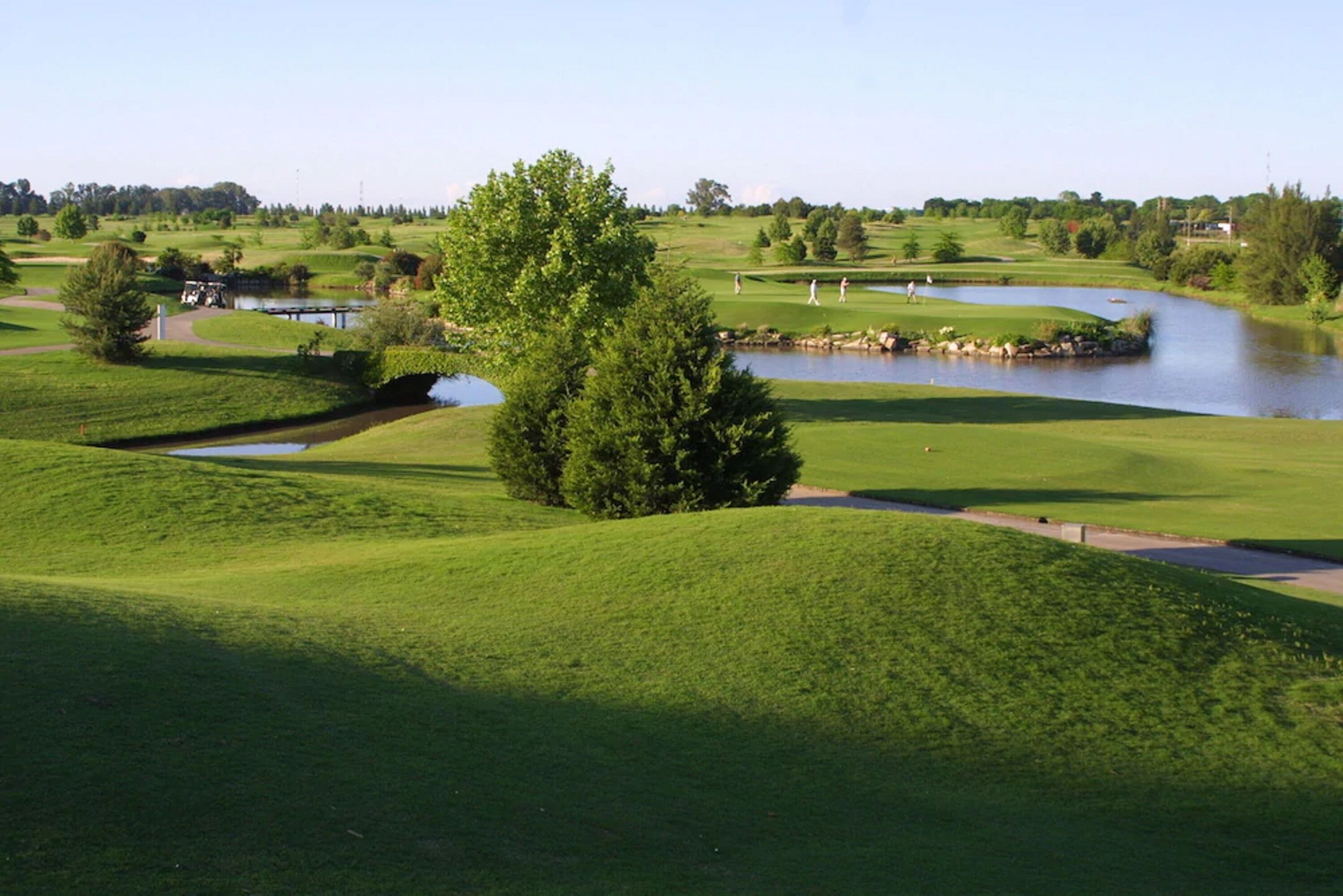 A golf course with a pond, trees, and a clear sky.