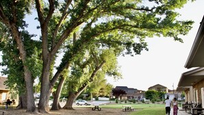 A park with large trees, picnic tables, and a grassy area. - Zion's Camp and Cottages (La Verkin)