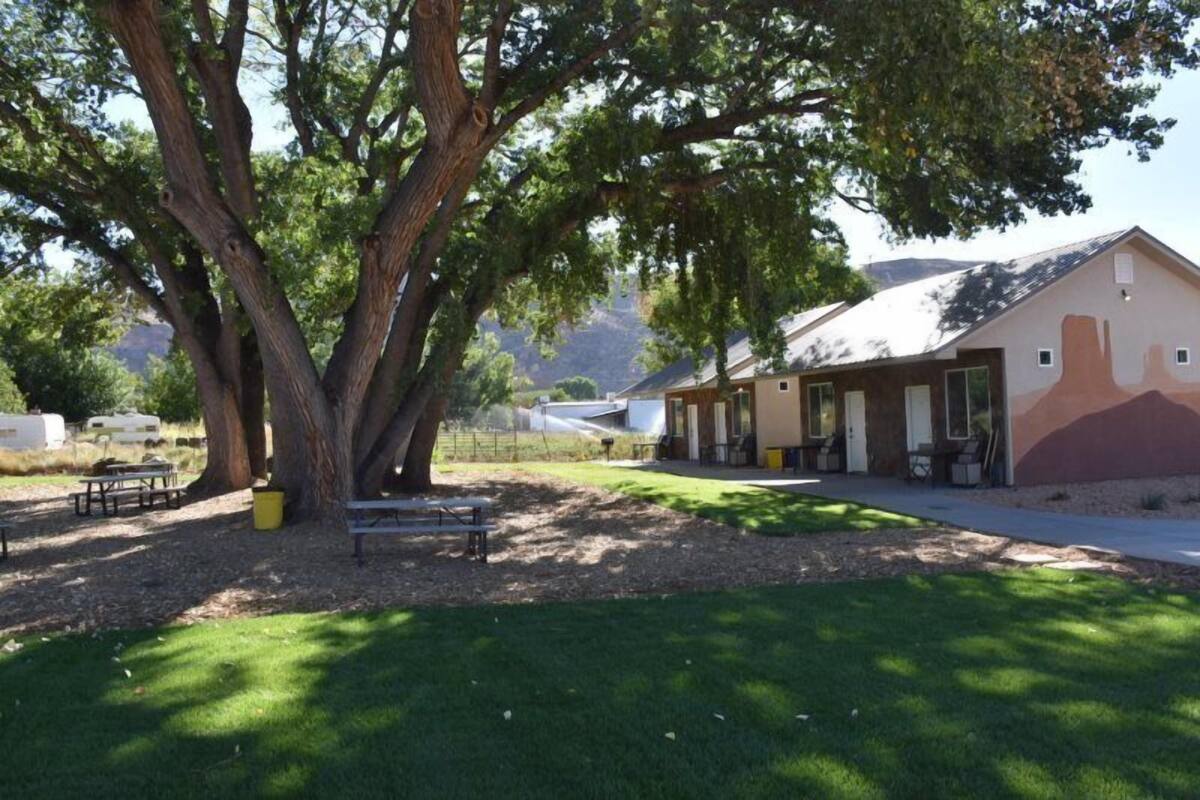A building with a large tree in front, a picnic table, and a mountain in the background.