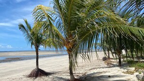 Una playa arenosa con palmeras y cielo despejado.