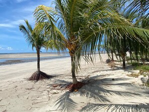 Beach - Pousada Porto Manguaba (Japaratinga)