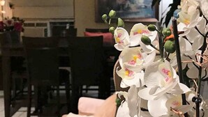A room with a dining area, a painting on the wall, and a potted orchid plant. - Cactus Inn and Suites (Copperas Cove)