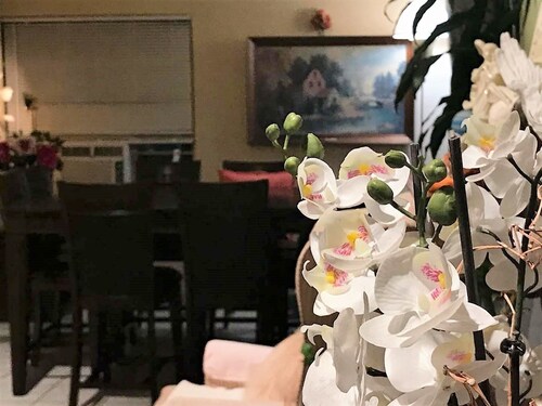 Cactus Inn and Suites