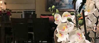 Cactus Inn and Suites