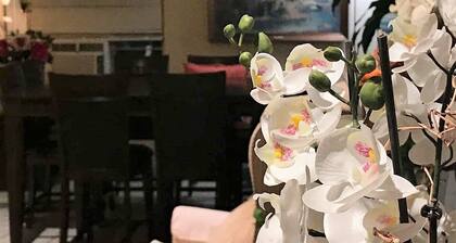 Cactus Inn and Suites