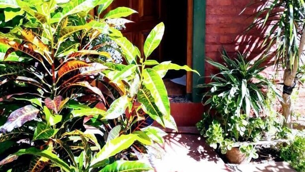 A brick building with a wooden door and a window with a green frame. There are various potted plants in front of the building. - El Rinconcito (Puerto Iguazú)