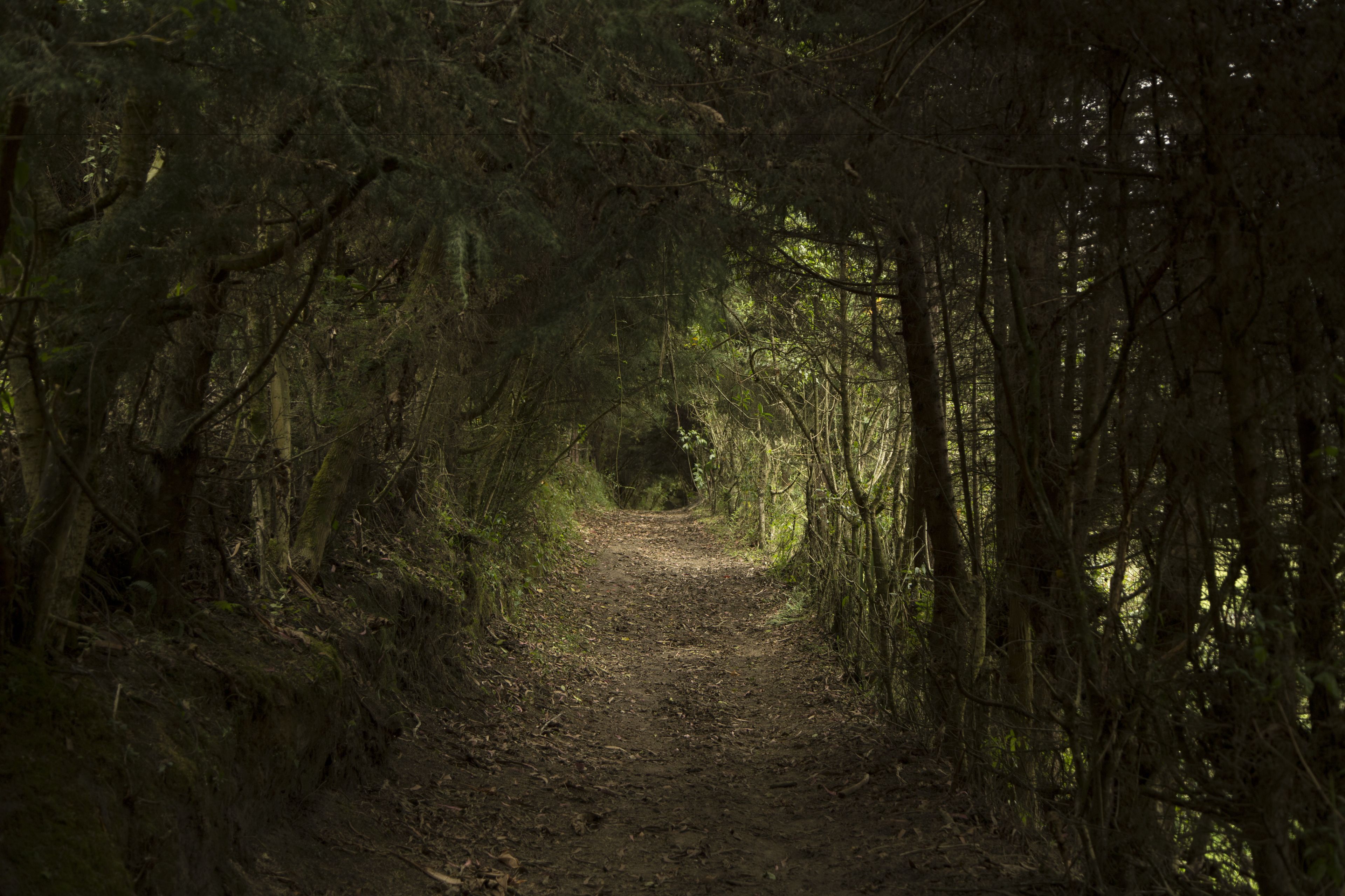 Foto - Estancia De La Campiña