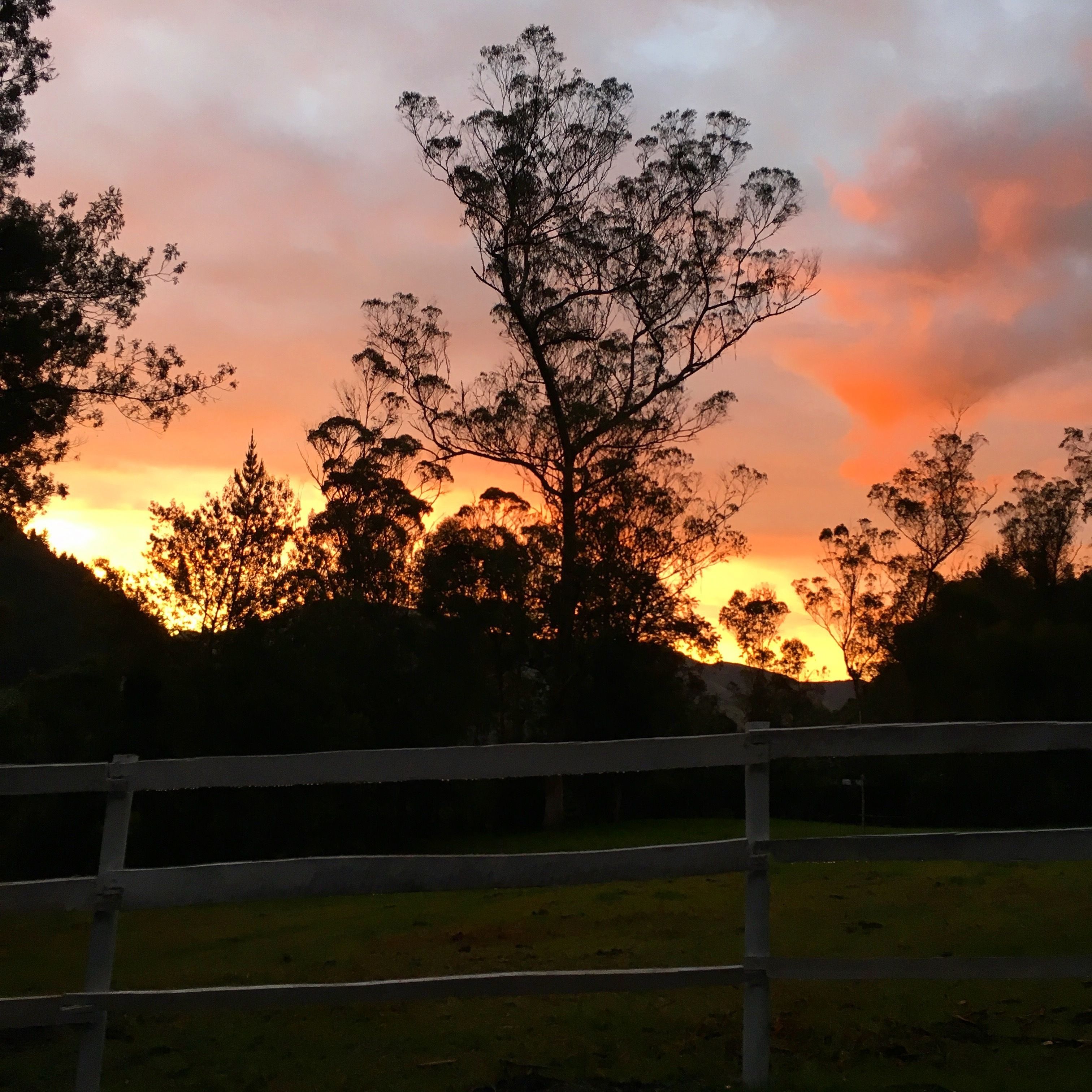 Foto - Estancia De La Campiña