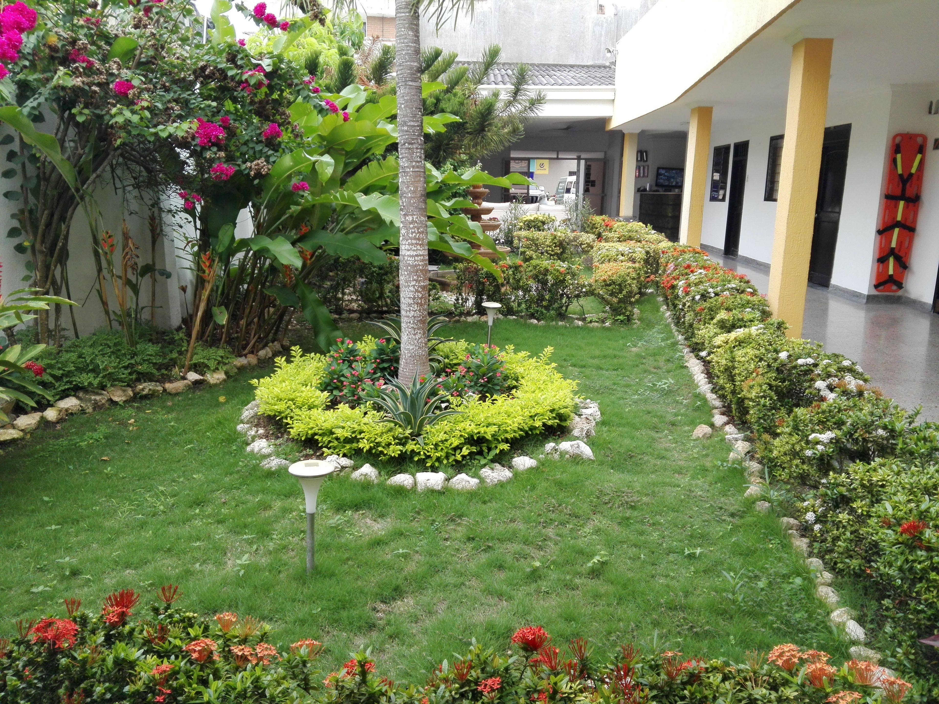 A well-maintained garden with a variety of plants and flowers, a central palm tree, and a pathway lined with rocks.