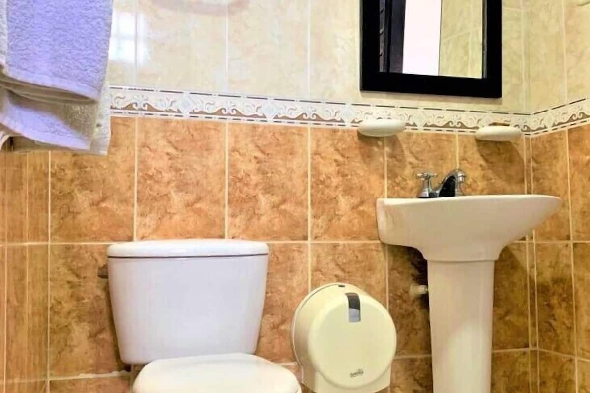 basic triple room, non smoking | bathroom | shower, towels