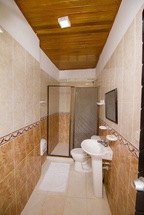 Un baño con ducha, inodoro, lavabo y espejo.