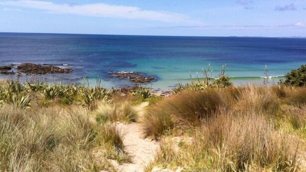 A coastal path leading to a beach with clear waters and rocky outcrops. - The Little Cottage 3 minutes walk to beach. Beds for 5. (Henderson Bay)