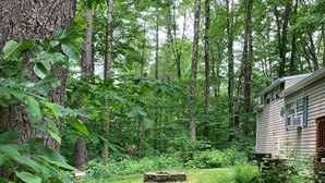 A rustic cabin surrounded by a dense forest.