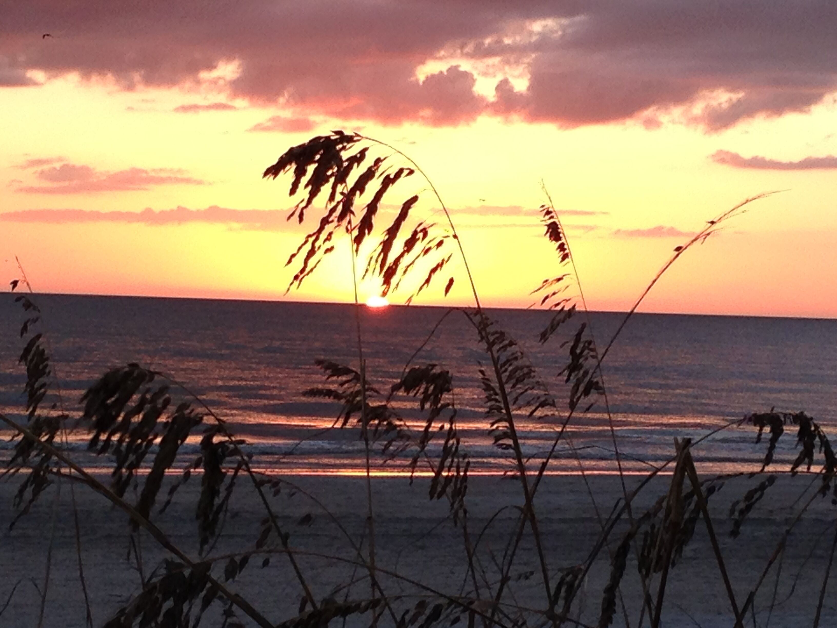 Beach nearby, sun-loungers, beach towels