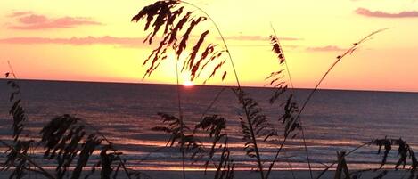 Ranta lähistöllä, aurinkotuoleja, rantapyyhkeitä