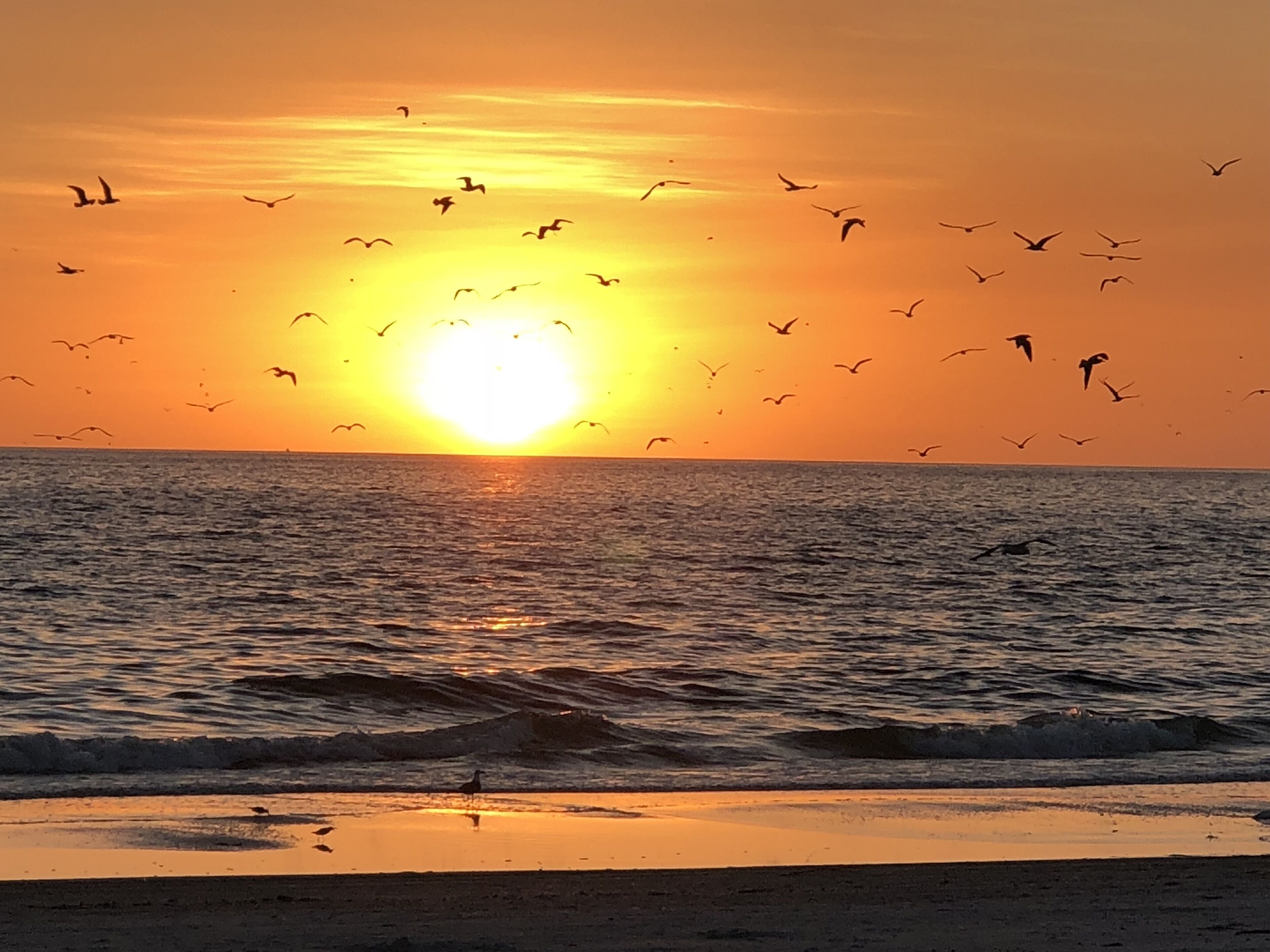 Beach nearby, sun-loungers, beach towels