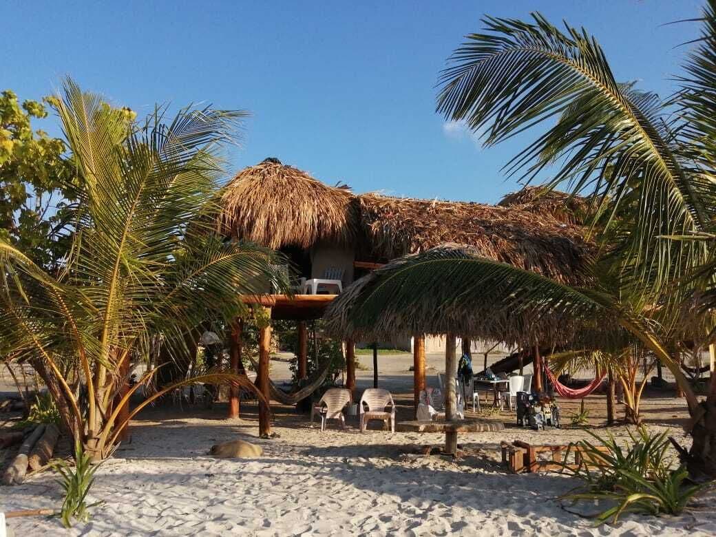 A beachside hut with a thatched roof, surrounded by palm trees and a hammock.