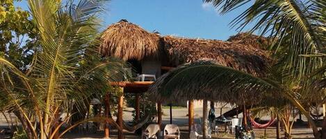 A beachside hut with a thatched roof, surrounded by palm trees and a hammock.