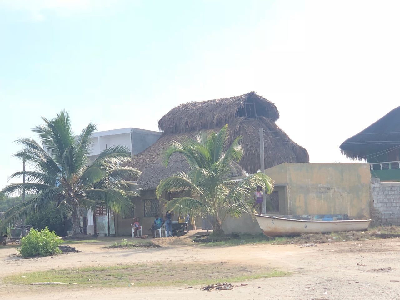 A rural setting with a thatched-roof building, palm trees, and a small boat.