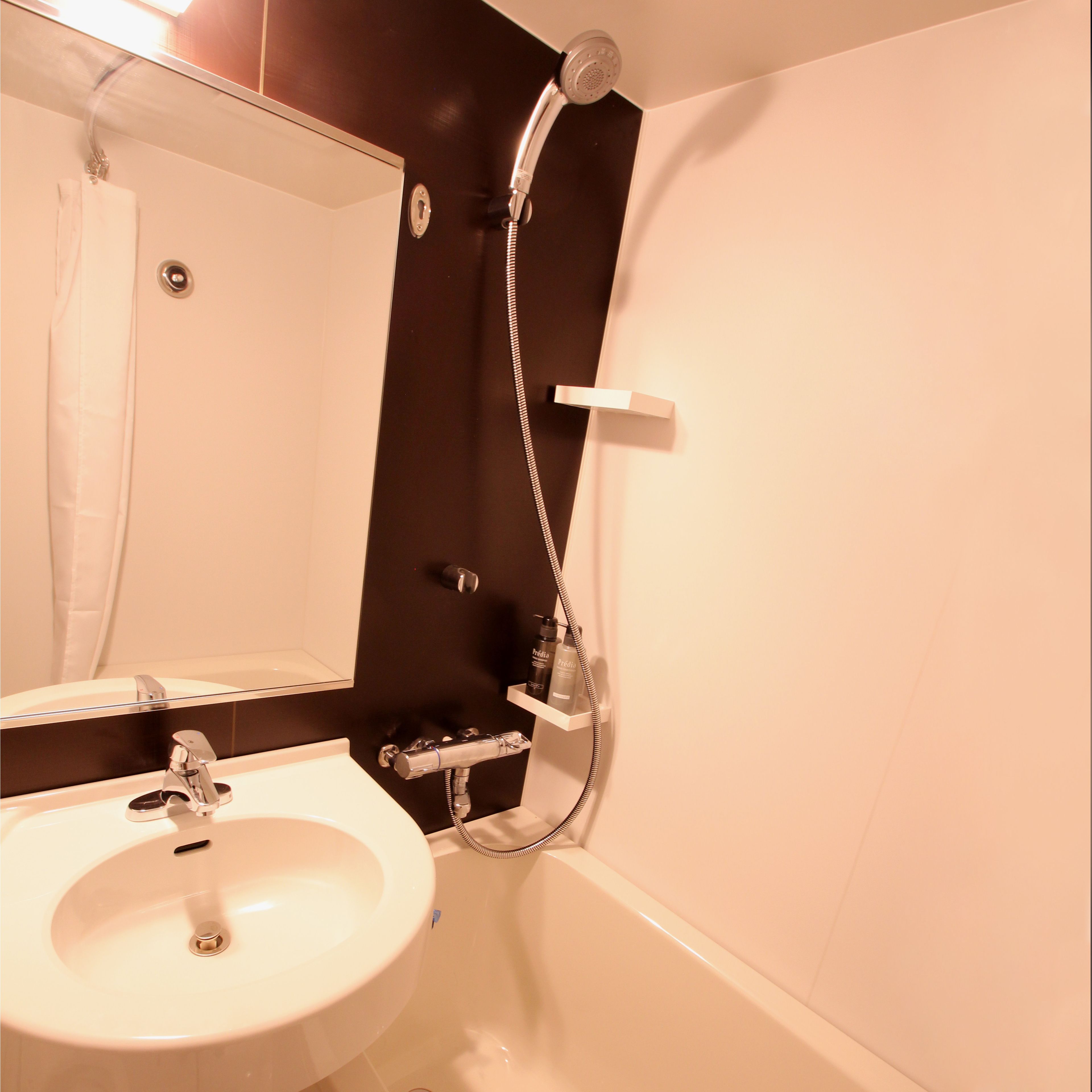 combined shower/bathtub, free toiletries, hair dryer, slippers