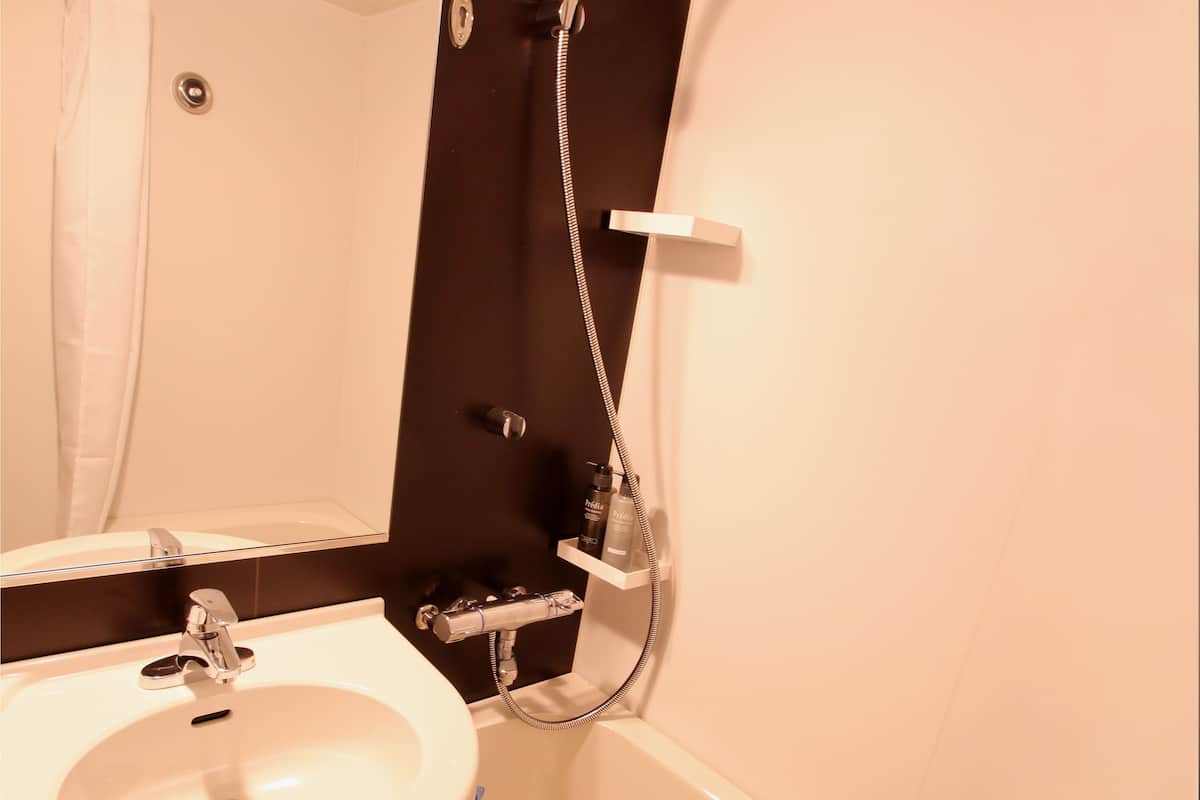 combined shower/bathtub, free toiletries, hair dryer, slippers