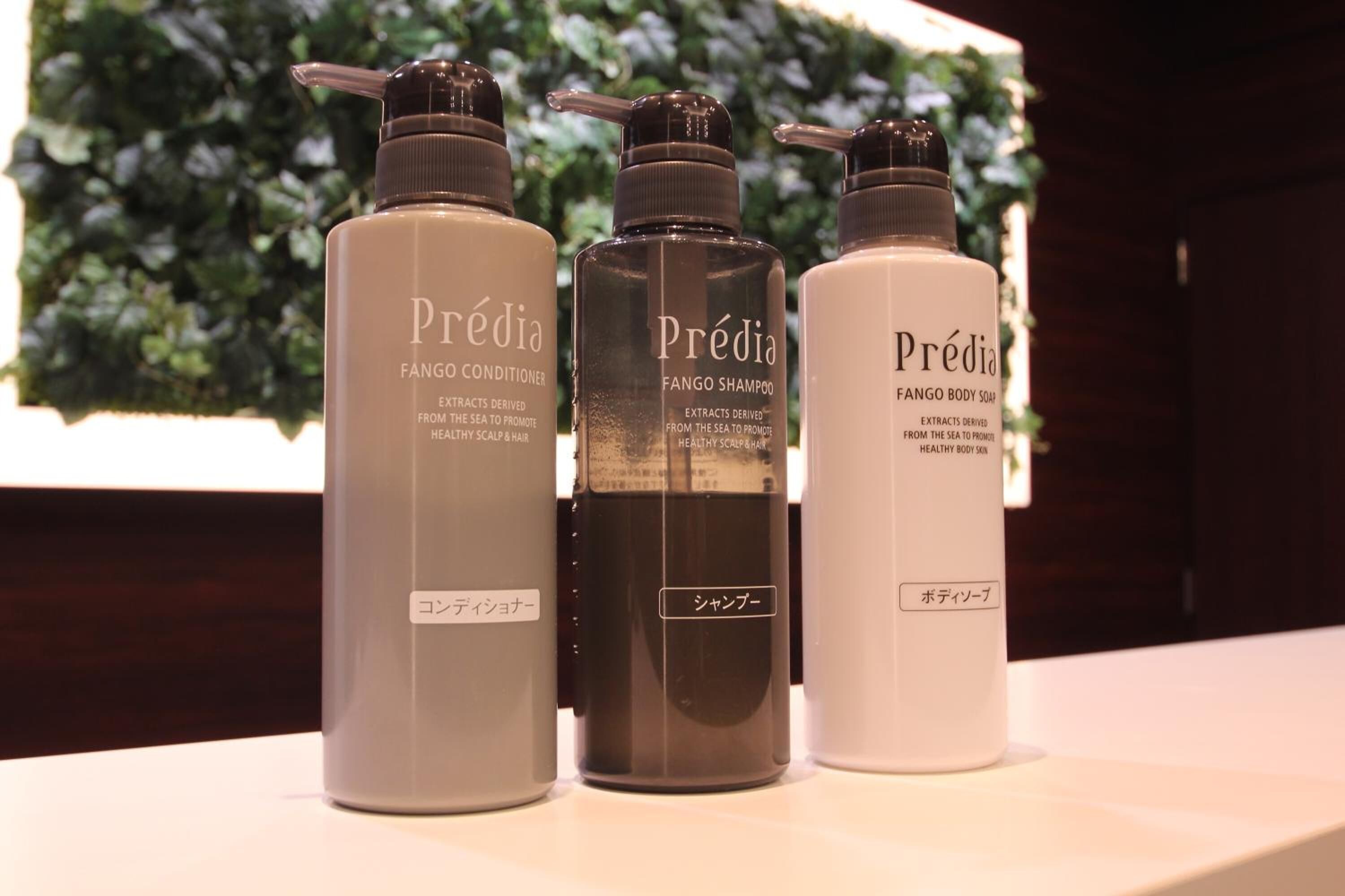 Combined shower/tub, free toiletries, hair dryer, slippers