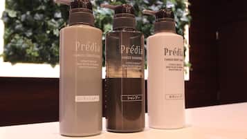 Combined shower/tub, free toiletries, hair dryer, slippers