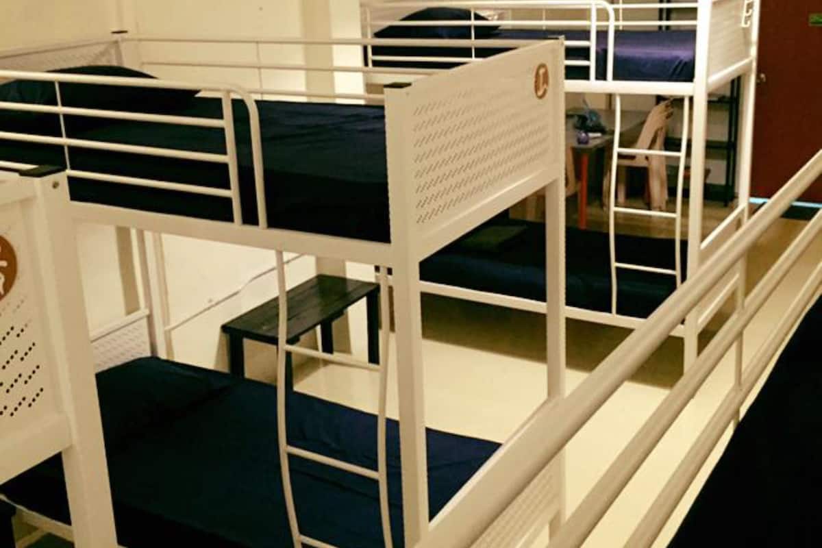 Gemeinsamer Schlafsaal, 1 Einzelbett, Gemeinschaftsbad (In 12-Bed Mixed)