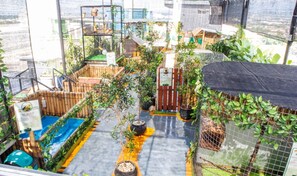 A rooftop garden with a small pool, wooden structures, and various plants. - Hotel FortunaGrande Jember (Jember)