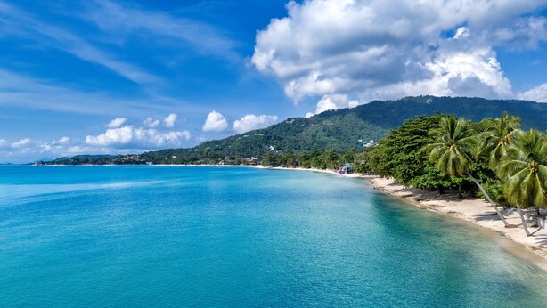 A beach with clear turquoise waters, a sandy shore, and palm trees. - The Bulin Residence (Koh Samui)