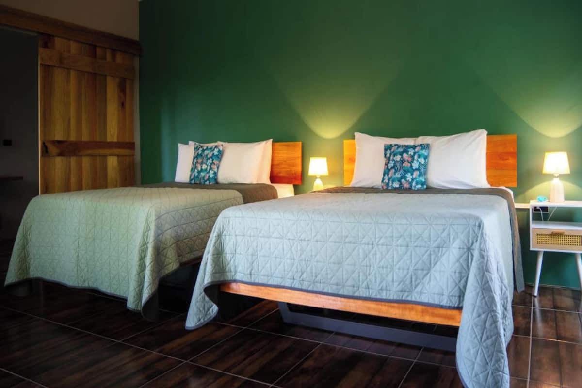 Premium bedding, minibar, blackout drapes
