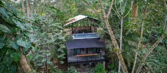 Eden Organic Farm & Bungalows