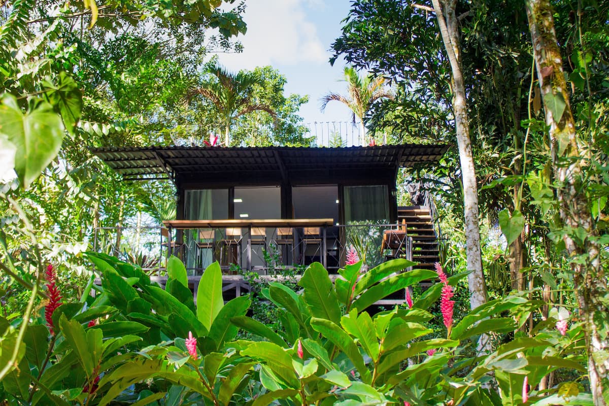 A modern house with a wooden deck, surrounded by lush greenery and tropical plants.