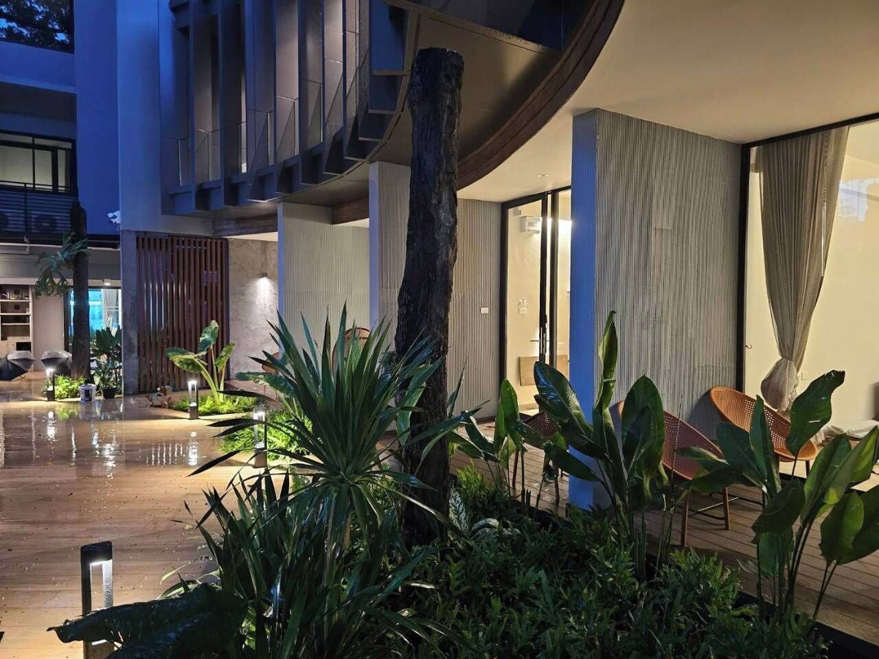 A modern hotel lobby with a wet floor, indoor plants, a large tree trunk, and a seating area with chairs.