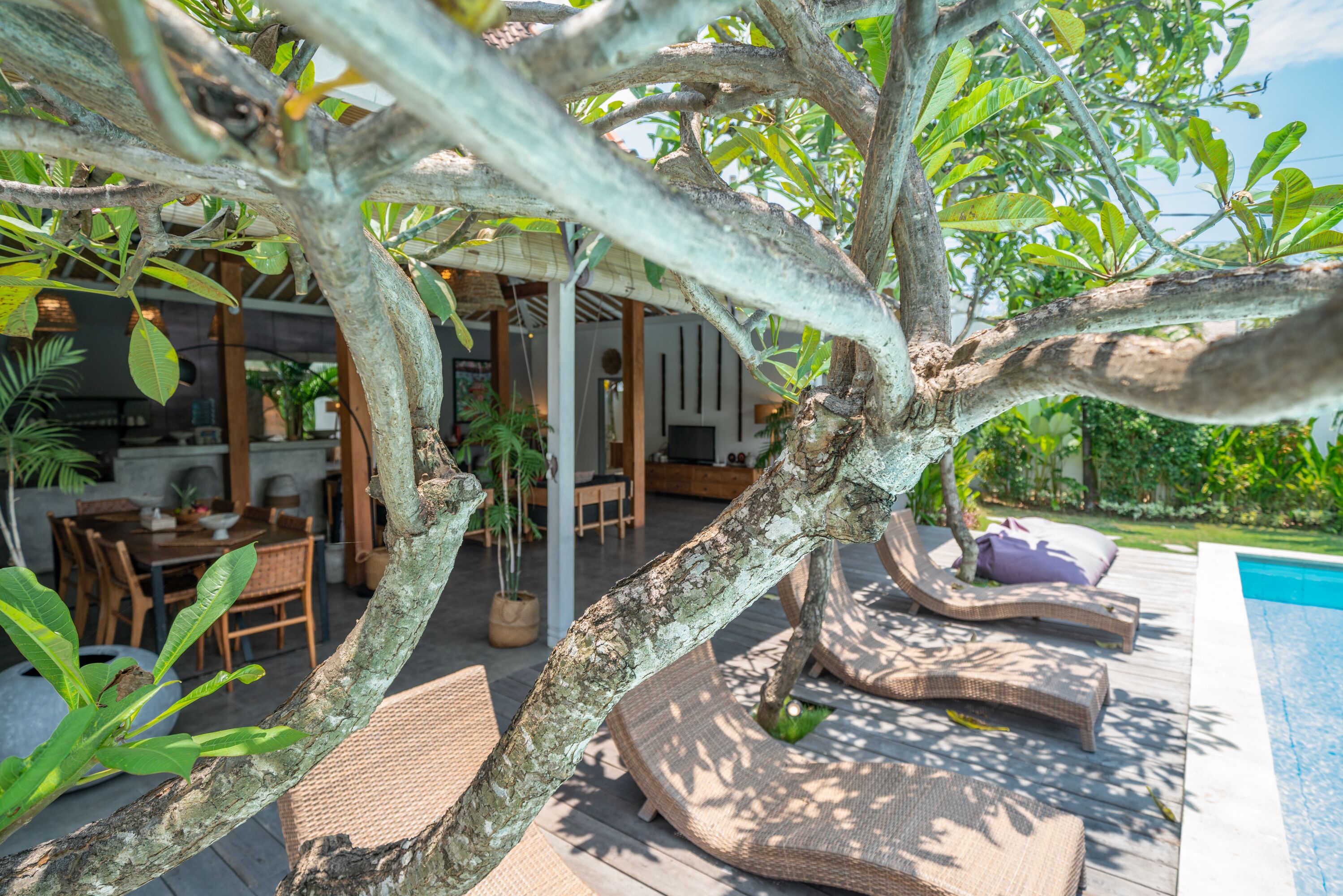 Un espacio al aire libre con árboles, una piscina y sillones de descanso.