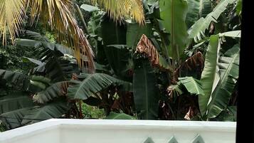 Standard Double Room | Balcony