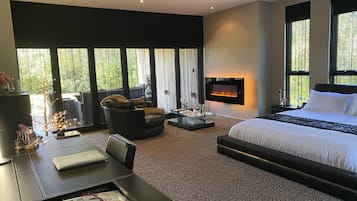 Smart TV, fireplace, Netflix