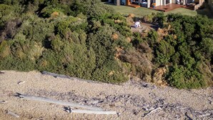 Una casa moderna con techo de paneles solares, rodeada de abundante vegetación y una playa de guijarros.