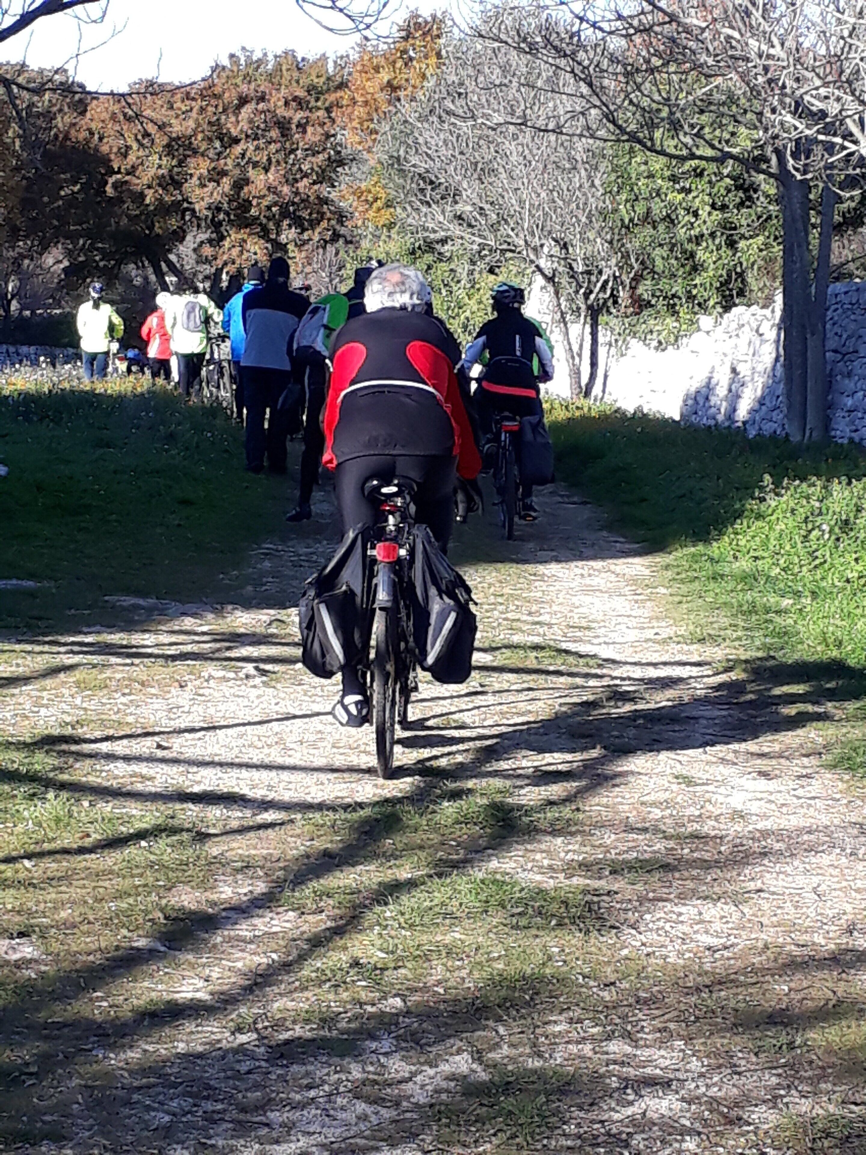 A group of cyclists on a gravel path with trees and a stone wall on one side.