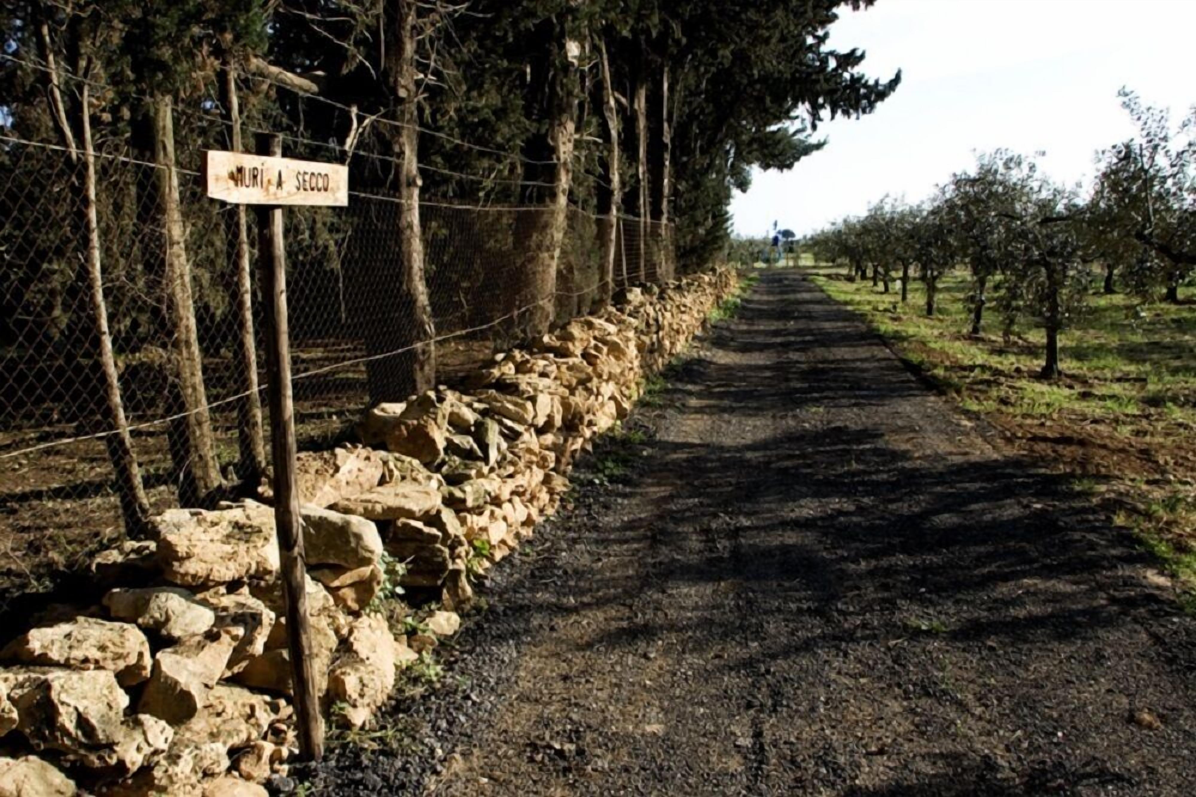 Une route de campagne bordée d’un mur en pierres et d’un panneau indiquant « MURIA A SECCO ».