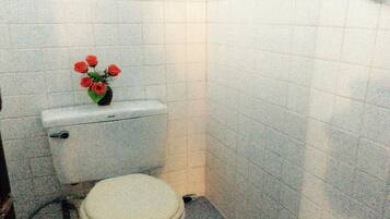 Shower, free toiletries, towels